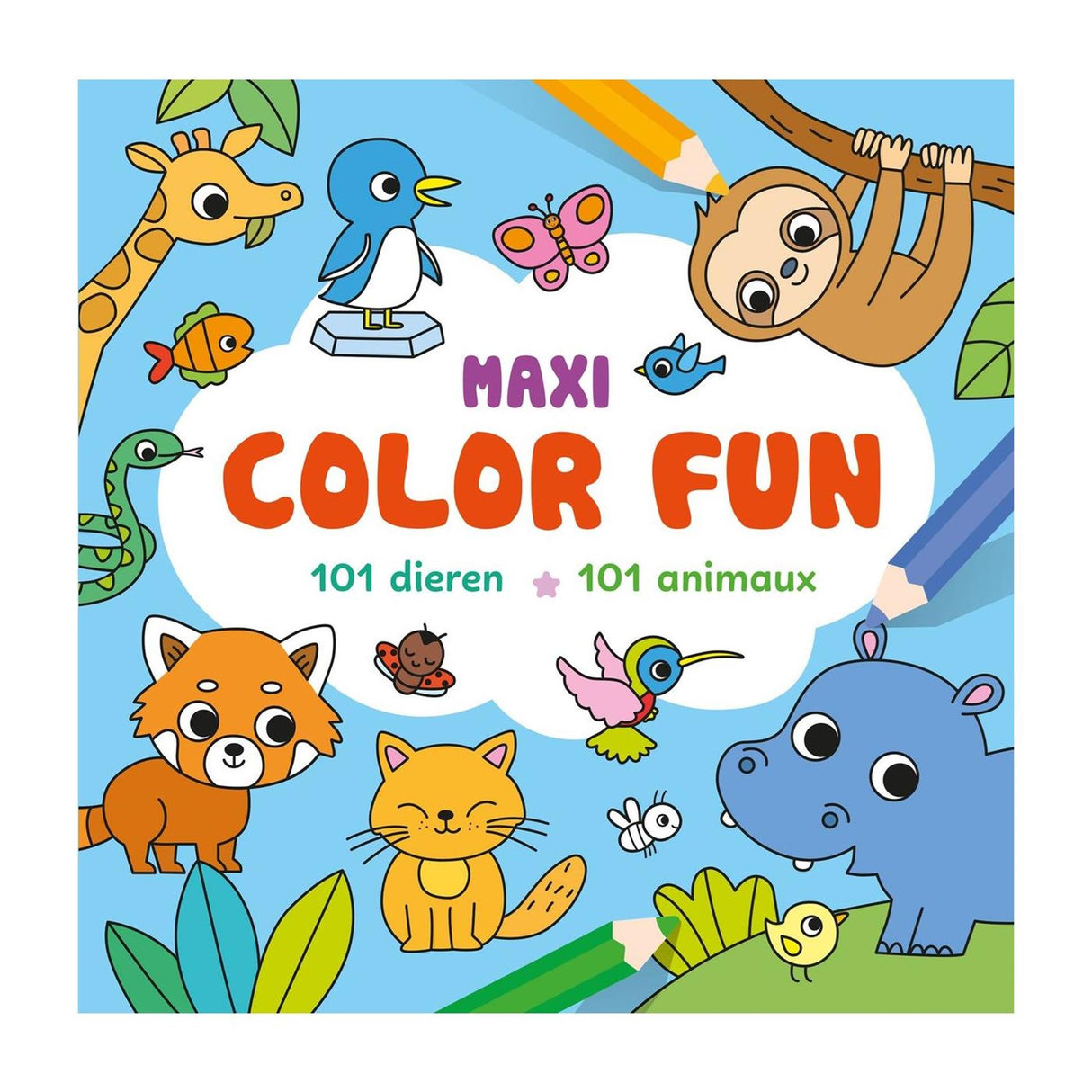 Deltas maxi color fun 101 dieren