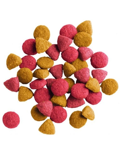 Lara Erwuessene Indoor Poulet Enten