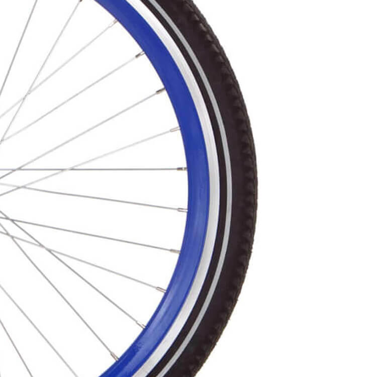 Alpina rim 26 j19db blue