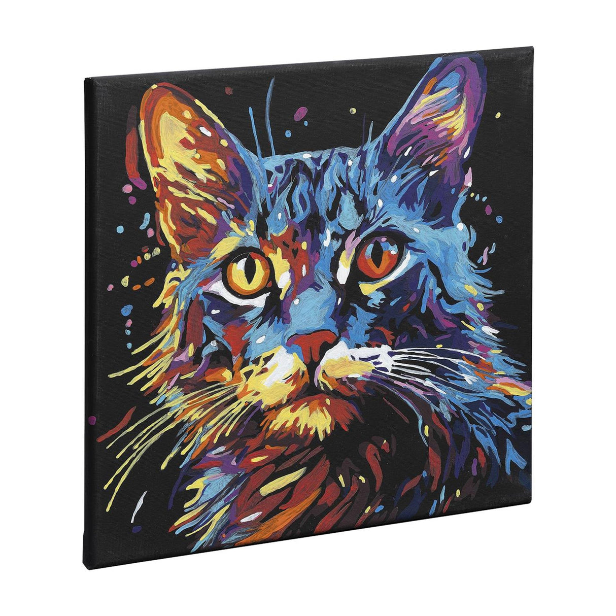 Насау картина по номера черно платно котка, 30x30см