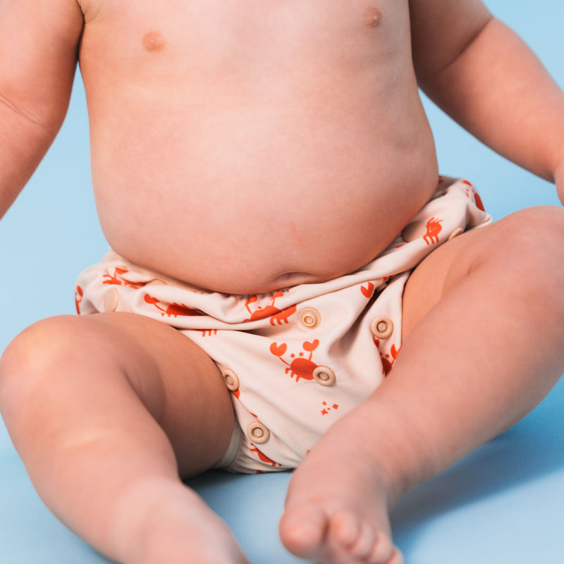 Crabby | red beige washable swim diaper