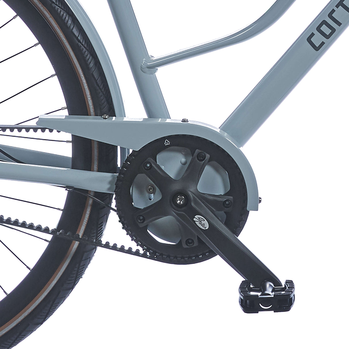 Cortina chain guard Mozzo green