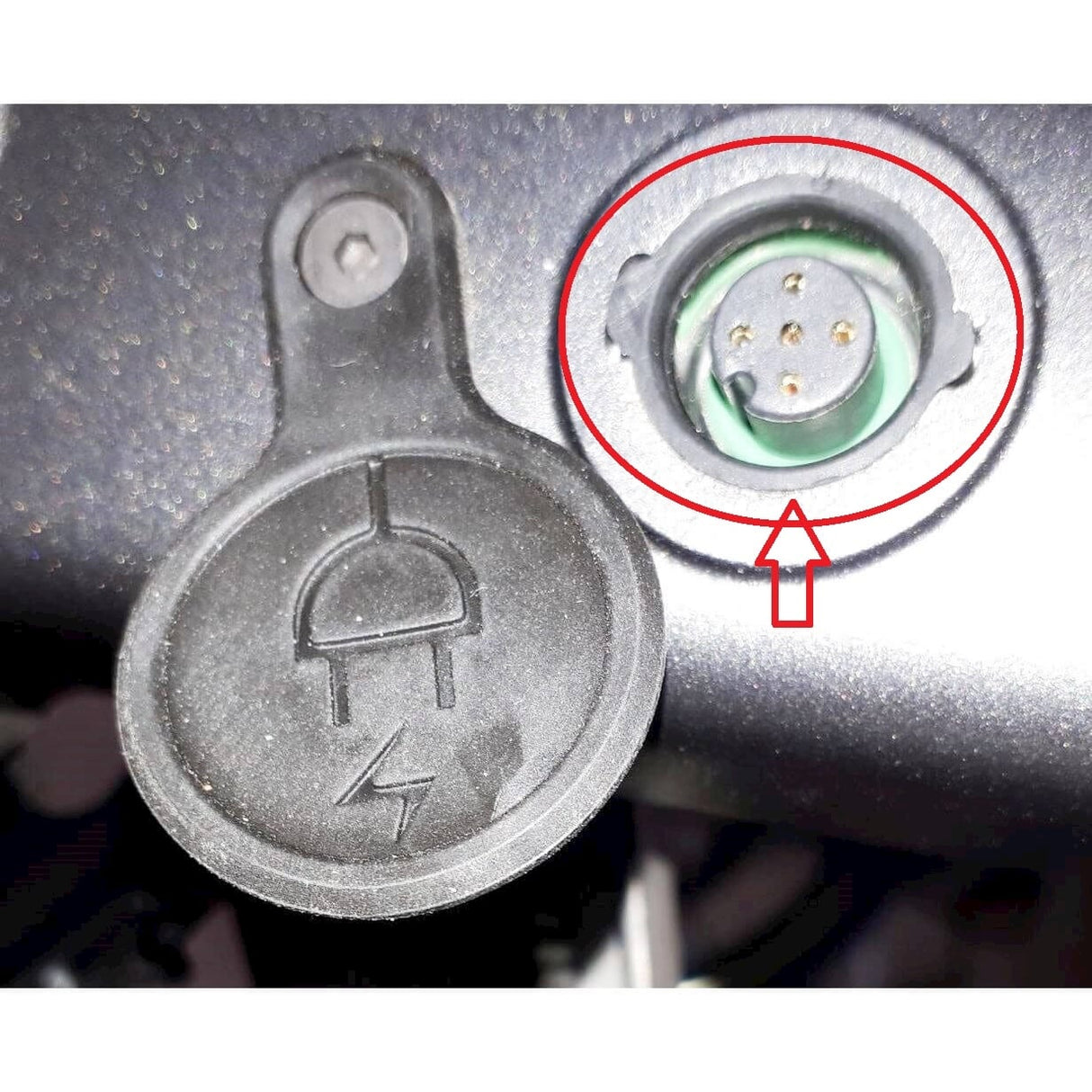 Compuerta de carga del anillo de sellado de Cortina C G Tipo