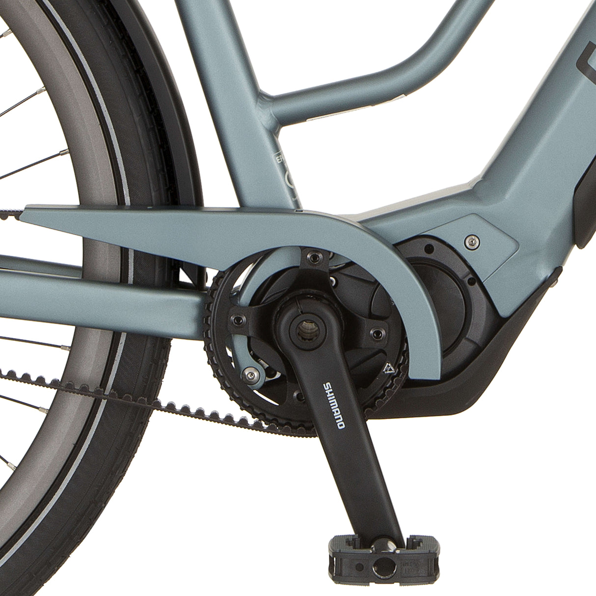 Cortina chain guard E-Silento Green