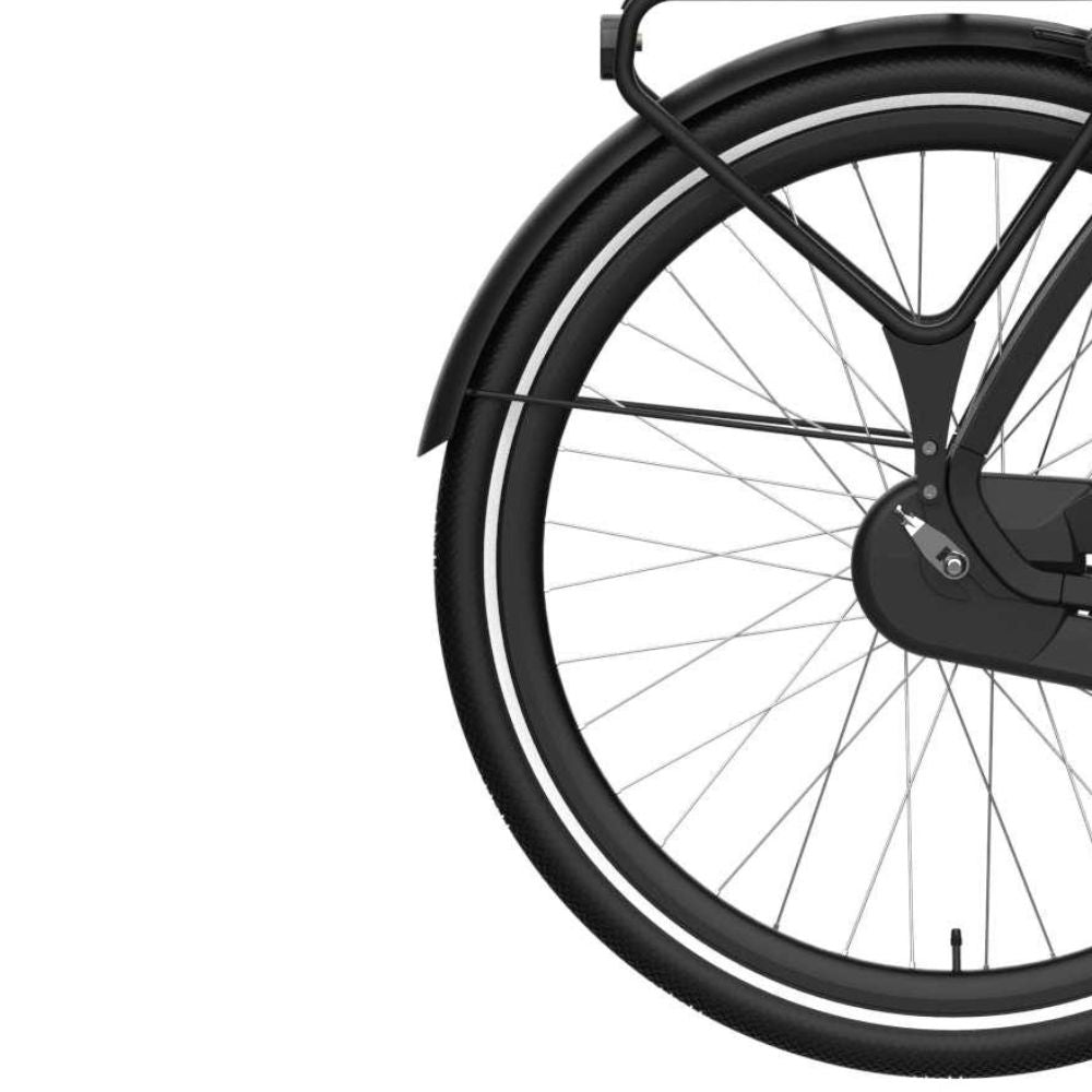 Cortina Fender detrás de Tide y Black Matt