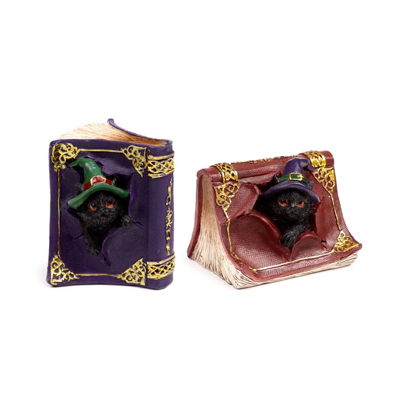 Libro degli incantesimi dispettosi del gatto nero delle streghe