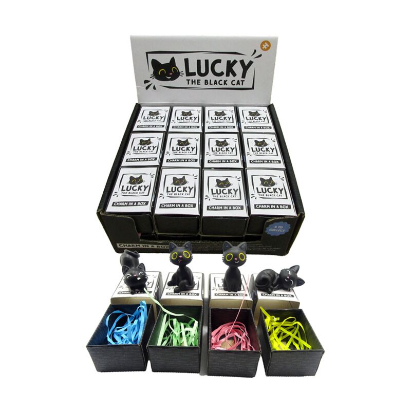 Lucky de zwarte kat charm in doosje
