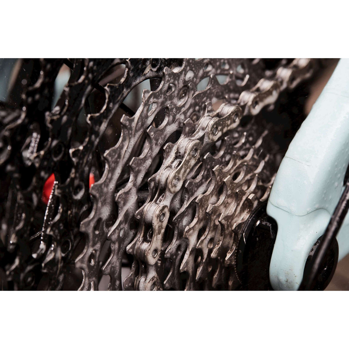 Collier Cyclon Bionet Collier DeGreaser Navulflacon 1L 20061