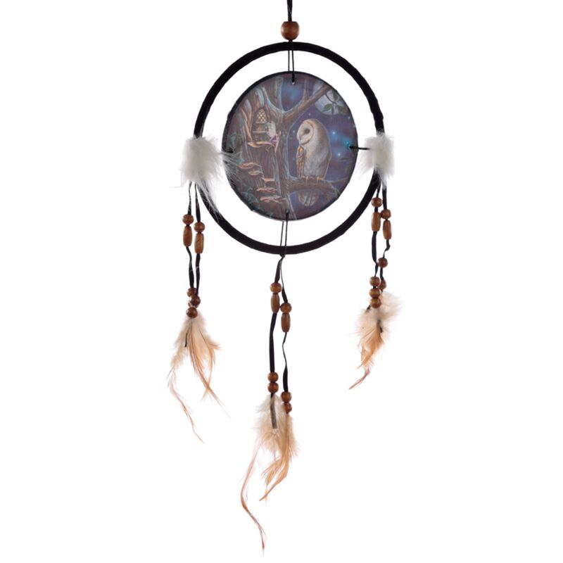 Lisa parker fairy tales owl fairy dream catcher 16cm