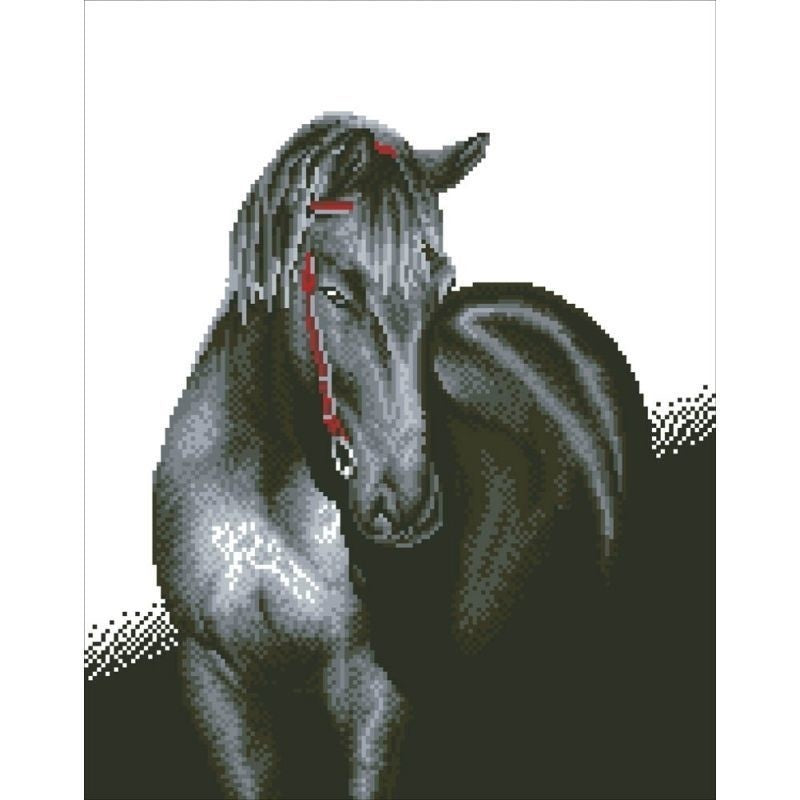 Midnight stallion diamond dotz: 53x42 cm (dd10.012)