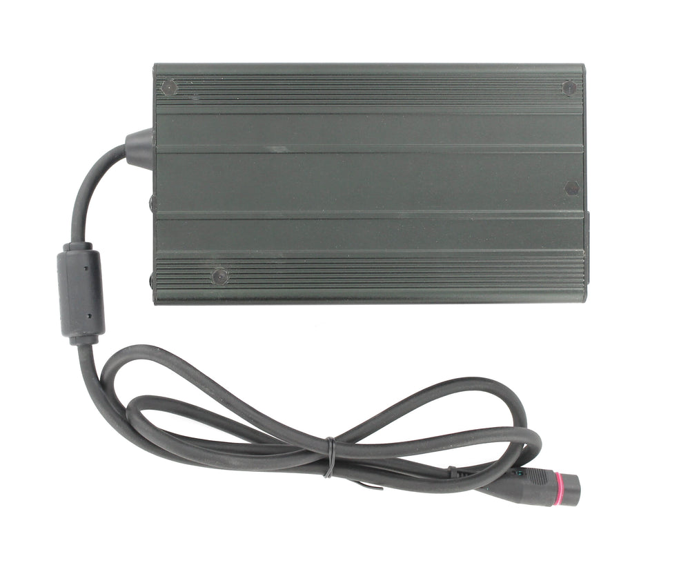 Bmz bicycle battery charger 13s 54.6v 4a plug hirschmann