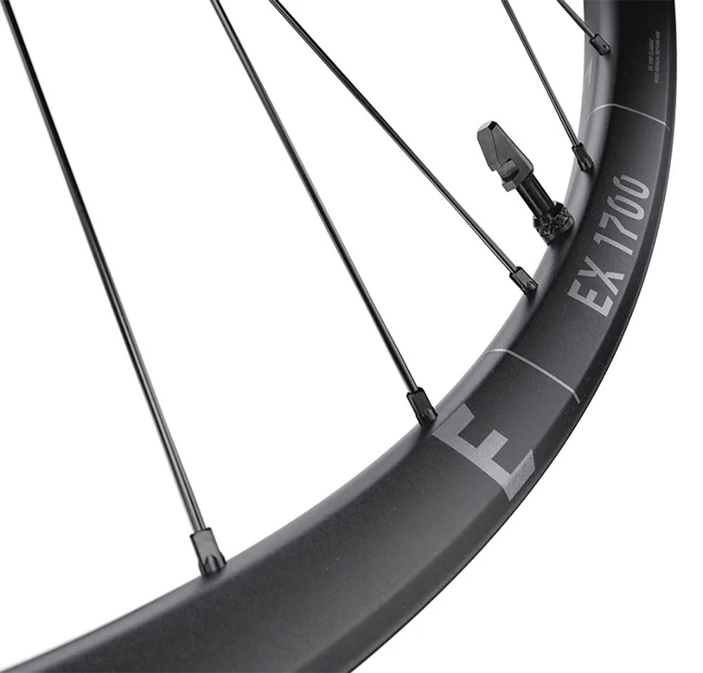 Dt swiss ex 1700 classic 30 29 6-bolt 20x110mm rear wheel