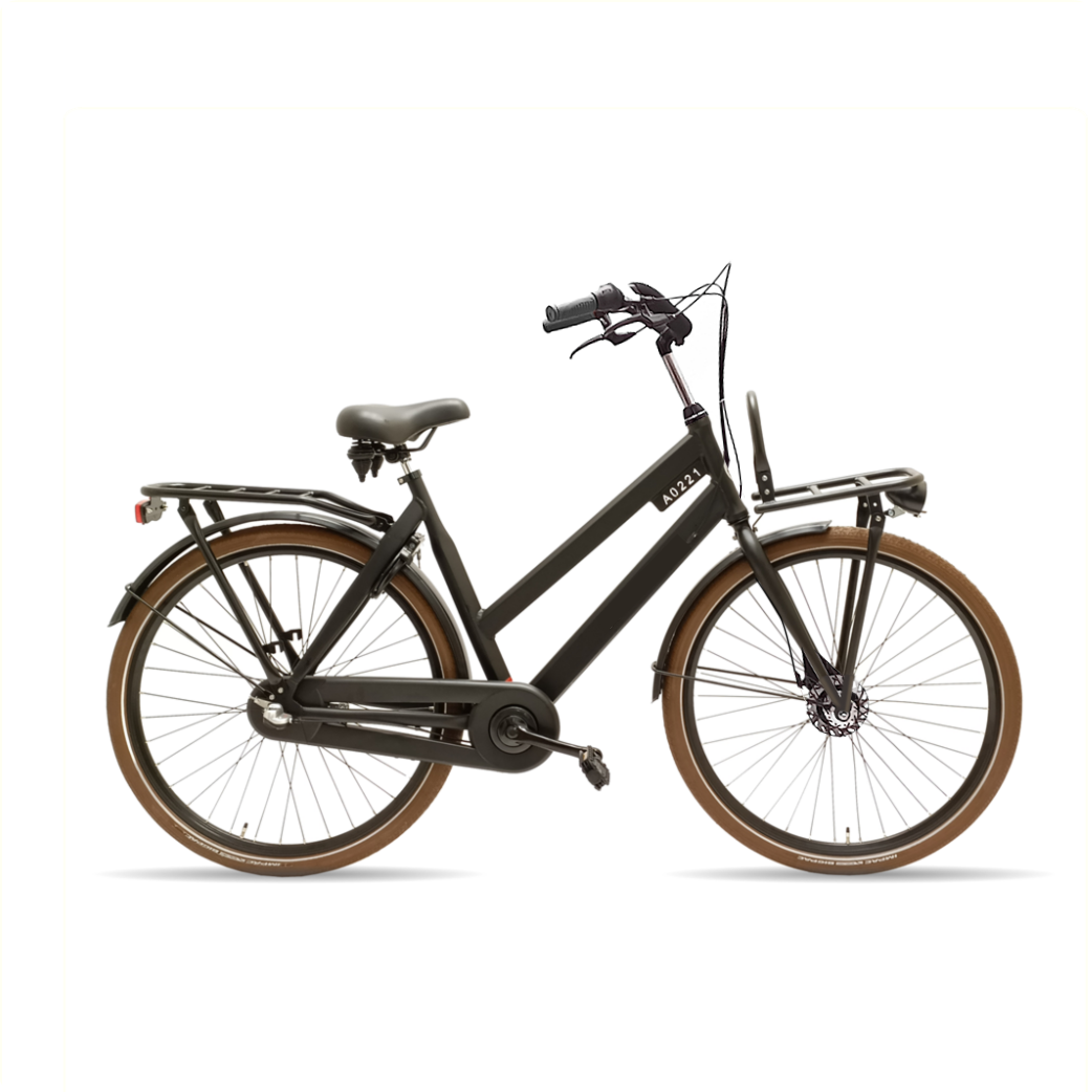 Avalon Style women's 54cm roller brake, 3-speed black.
