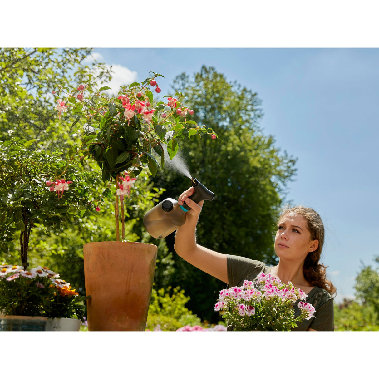 GARGADA Planz spritzen 1 l einfach
