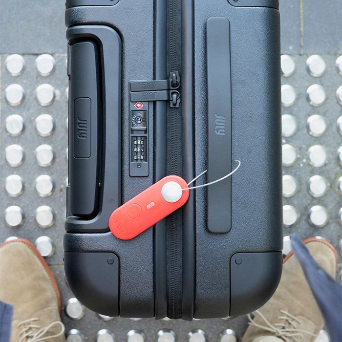 Knog scout travel - apple - tangerine dream