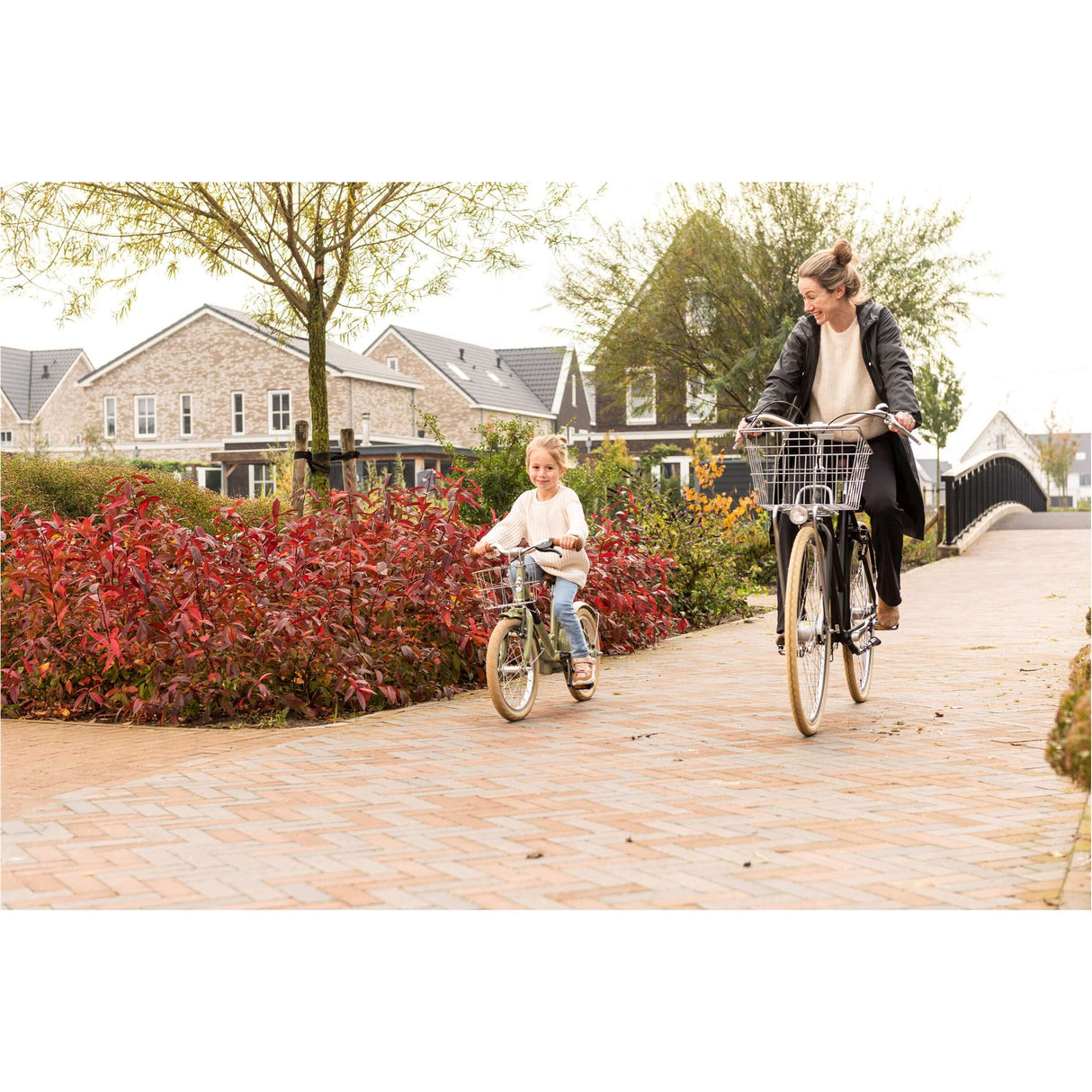 Steco cesta vintage espejo cromado