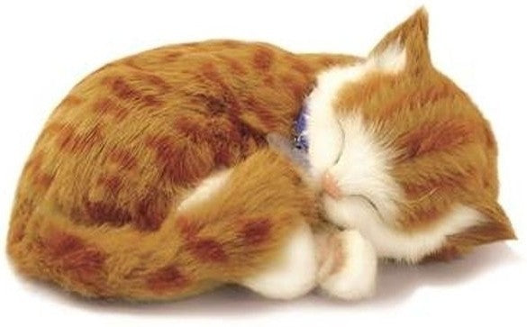 Перфектна Petzzz Perfect Petzzz Soft Orange Cat