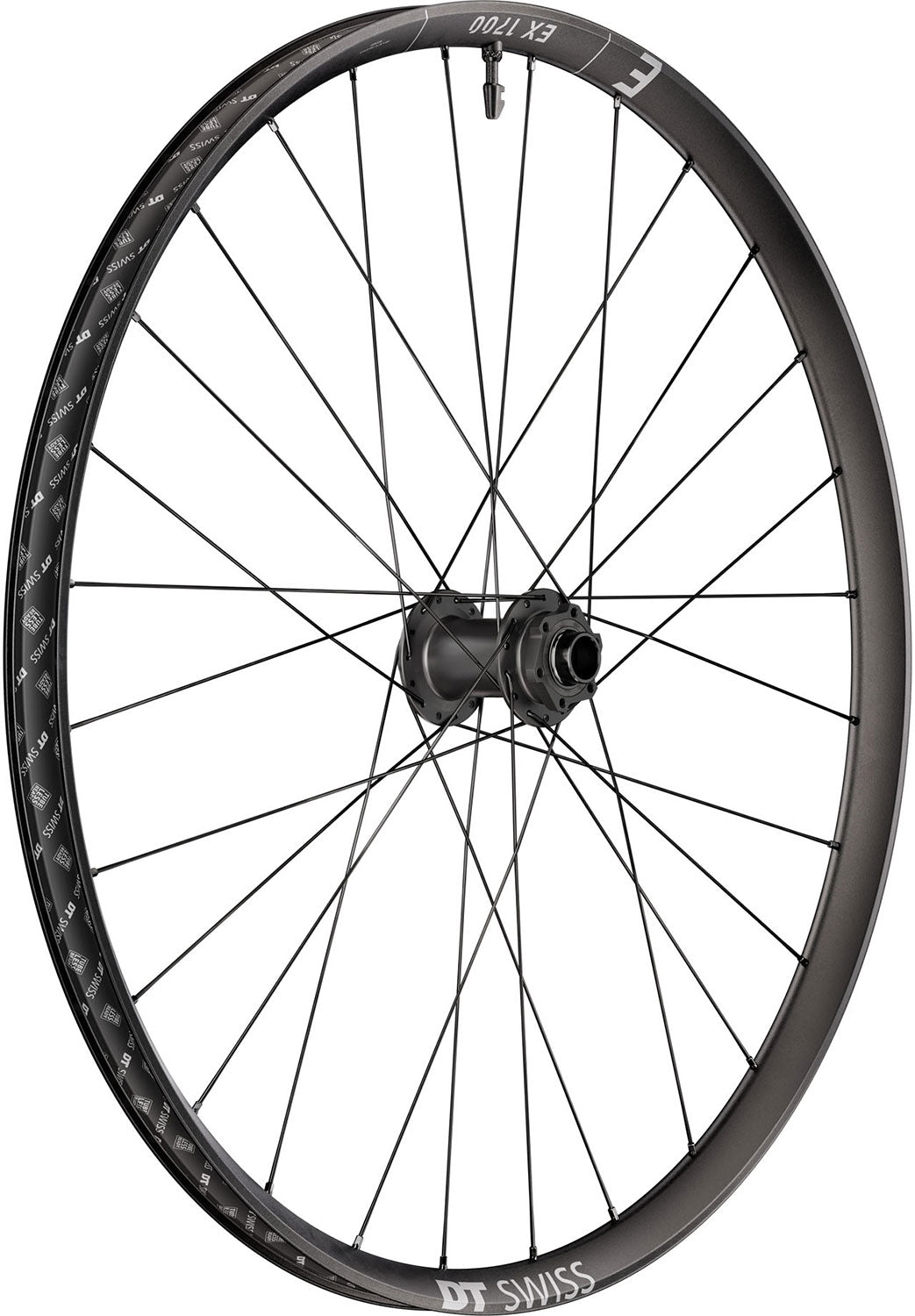 Dt swiss ex 1700 classic 30 29 6-bolt 20x110mm rear wheel