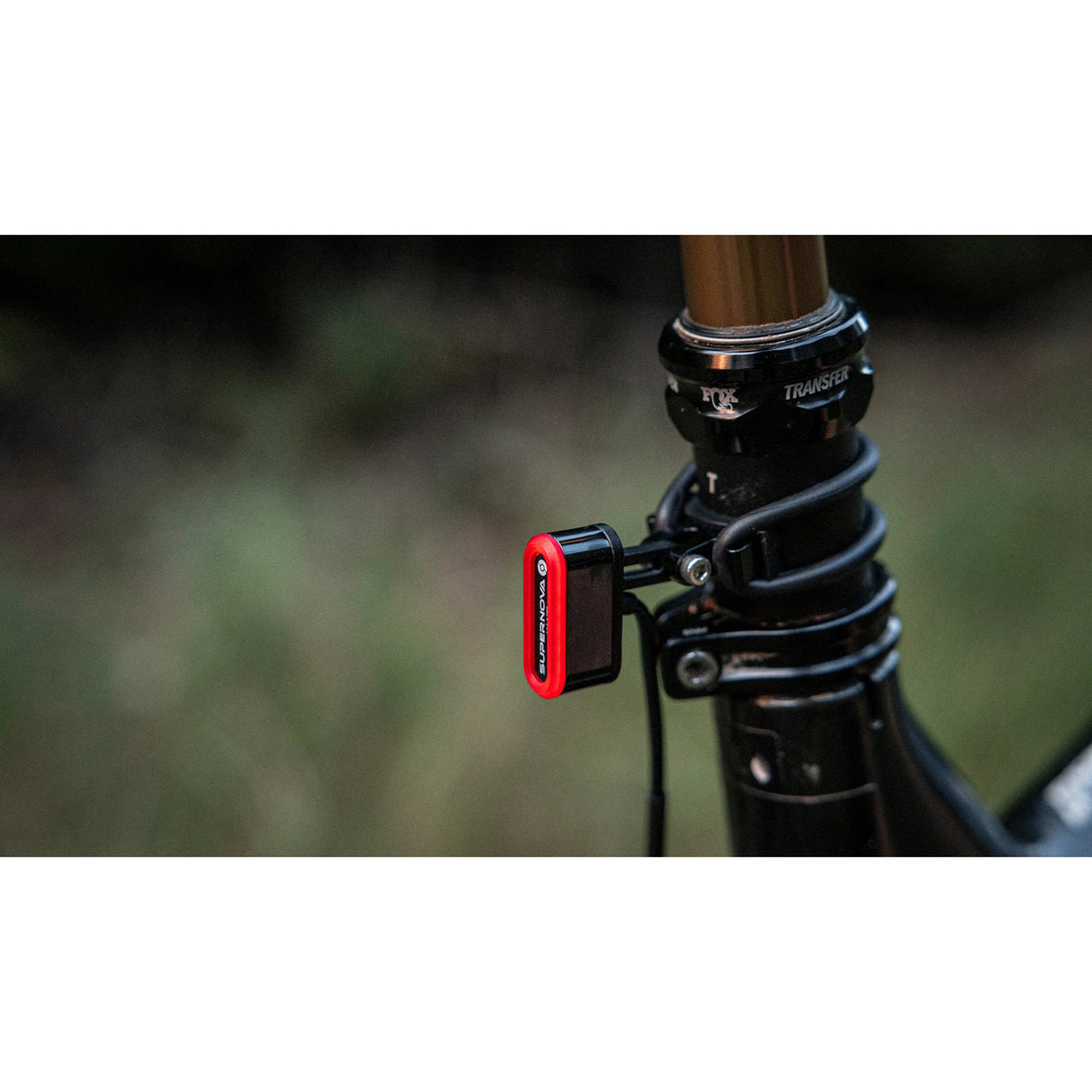 Axa supernova rear light tl3 mini dynamo luggage rack 12v black