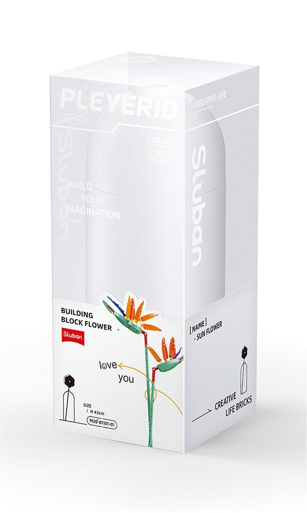 Sluban strelitzia reginae aiton (m38-b1101-01)