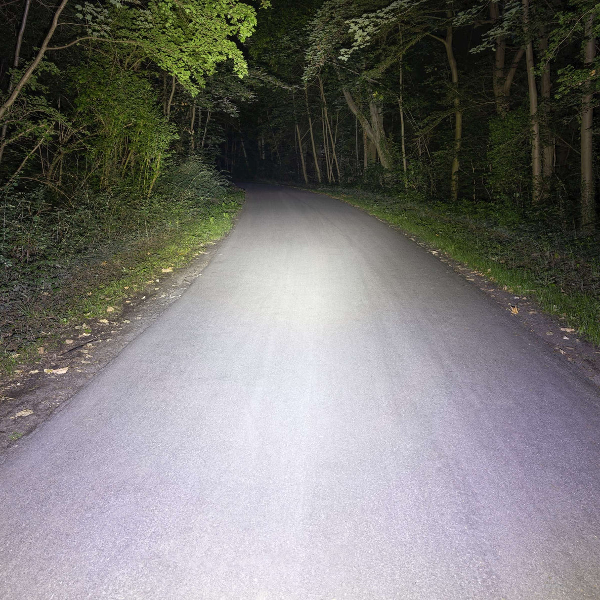 Éclairage SET SIGMA BUSTER 1100 USB + BUSTER RL 150 FLASH USB