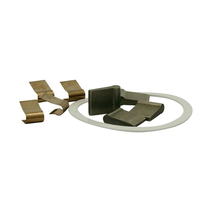 Stan's e-sync spring and pawl kit (6 pcs)