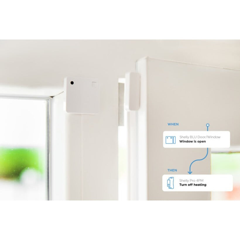 Shelly blu by window