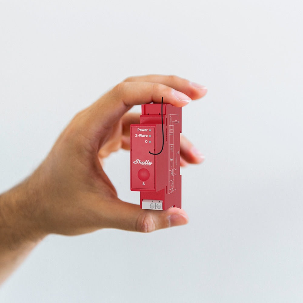 Onda di Shelly qubino alle 13:00