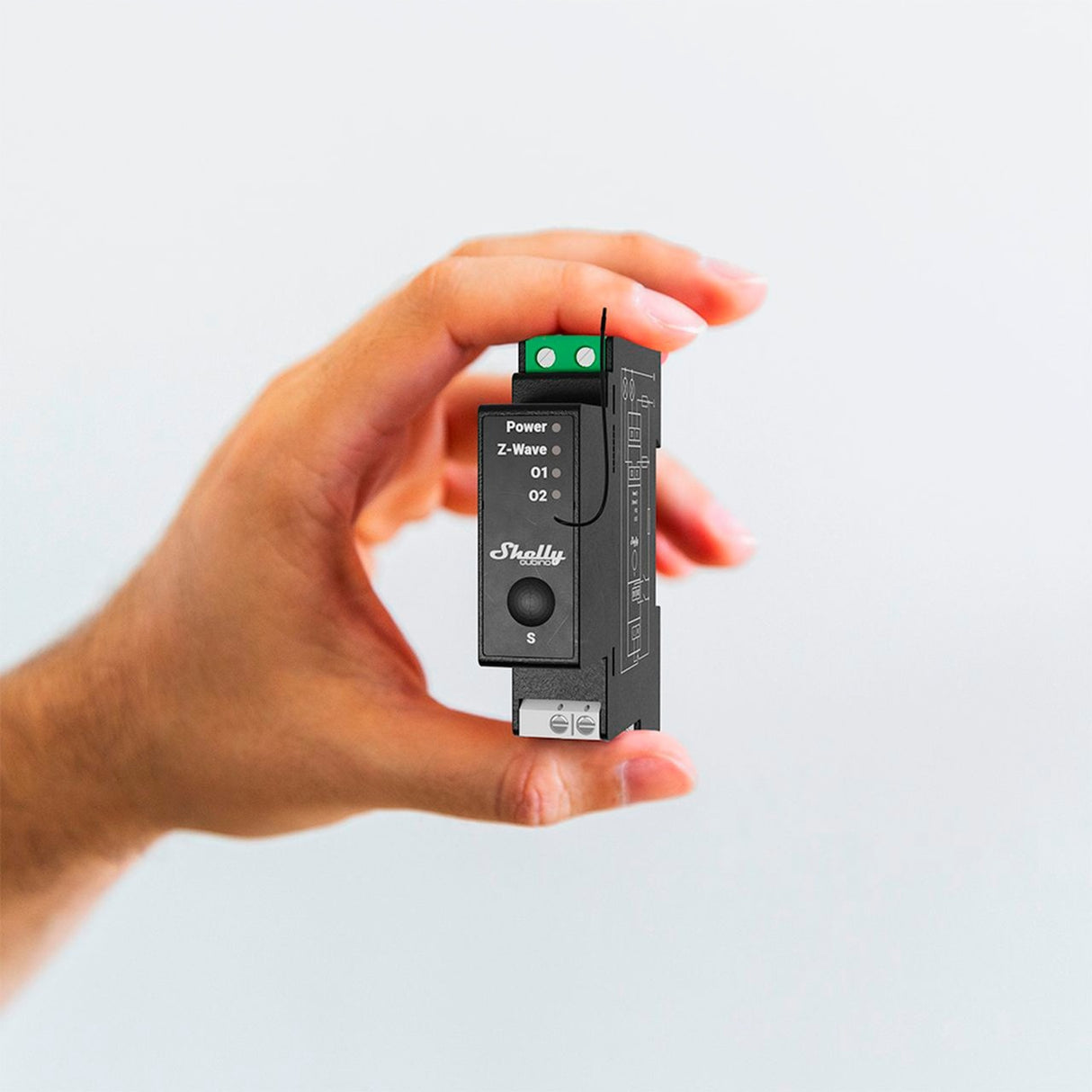 Shelly qubino onda alle 14:00