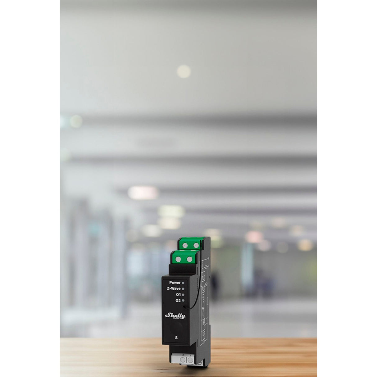 Shelly qubino onda alle 14:00