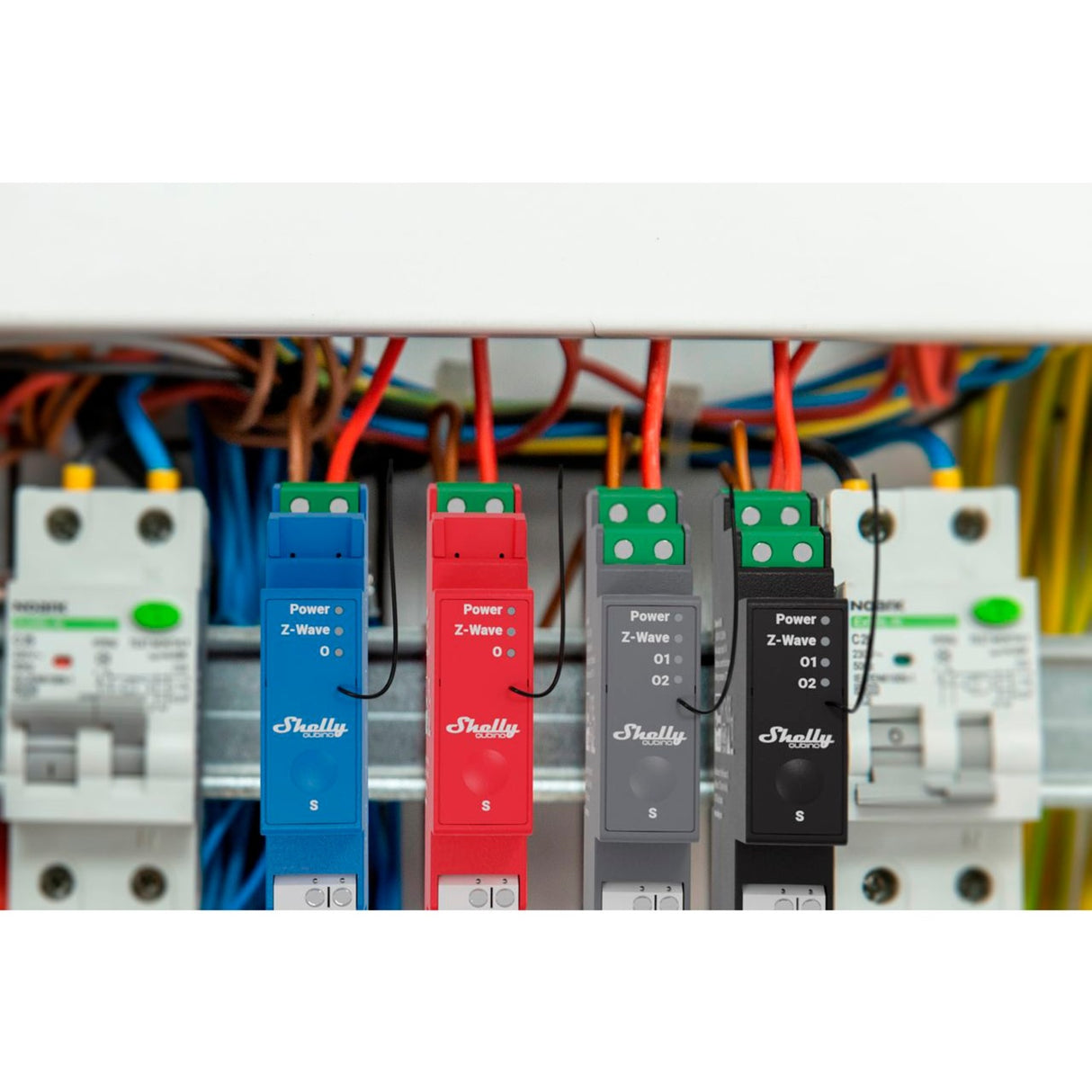 Shelly qubino onda alle 14:00