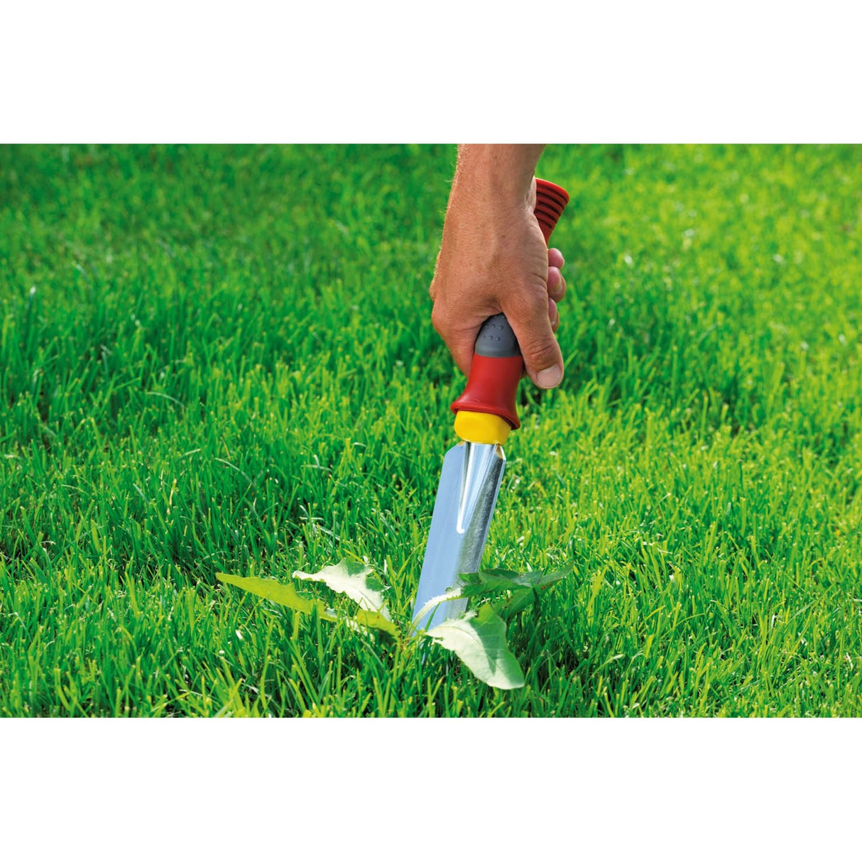 Wolf-Garten KS-2K Plug