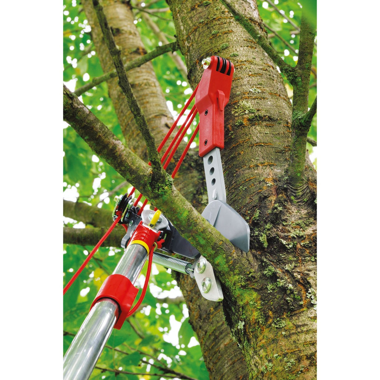 Wolf-Garten Multi-Star Tree Schaar Vario RC-VM