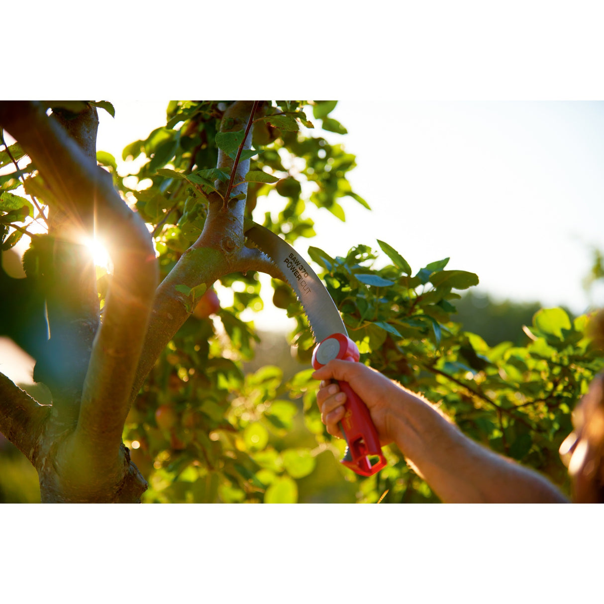 WOLF-Garten Multi-star Cut Saw 370 Branch Saw