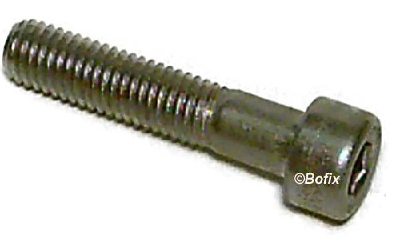 Xtrabike bolt Allen key M8x55 steel