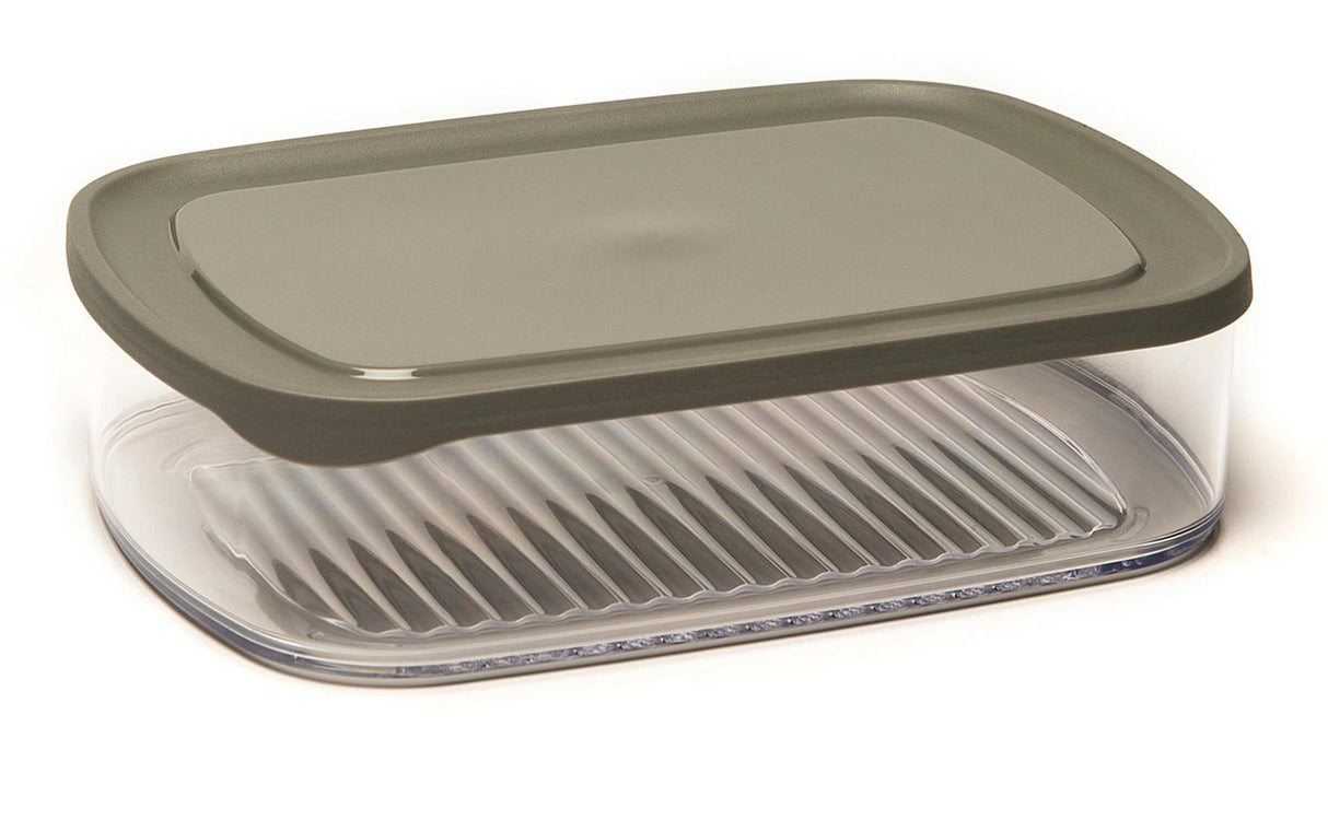 Dbp plastics kaasdoos 1700ml