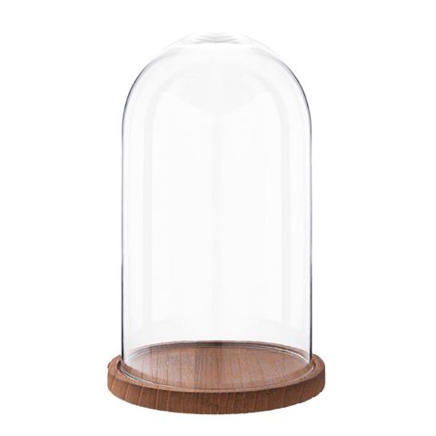 Cloche Clayre eef 6gl1946 transparent 16x28 cm