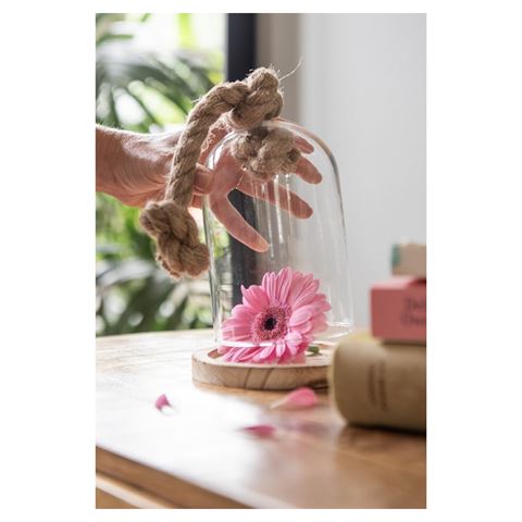 Cloche Clayre eef 6gl2222 transparent 17x29 cm