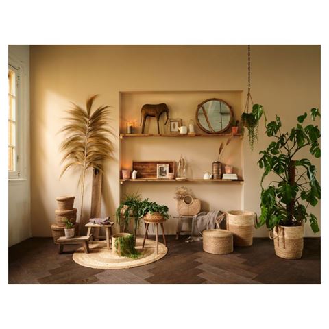 Clayre eef bell jar 6gl3006 transparent 19x41 cm