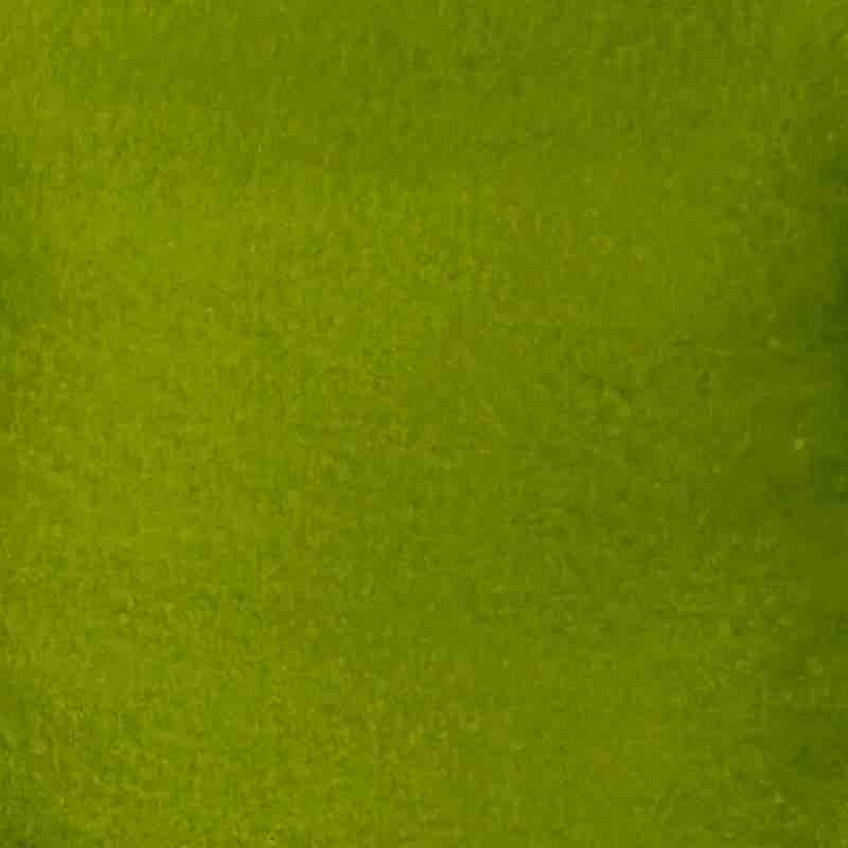 Cosmic shimmer • andy skinner inkology inks golden green 30 ml