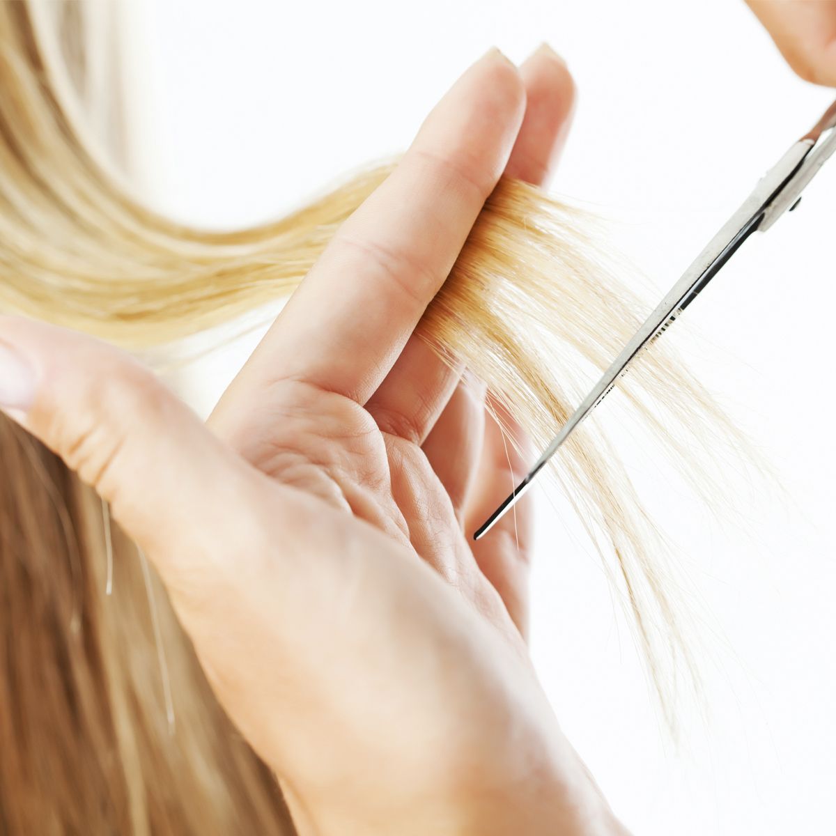 Ciseaux de coiffure Erbe solingen 11,5 cm (erbe924803)