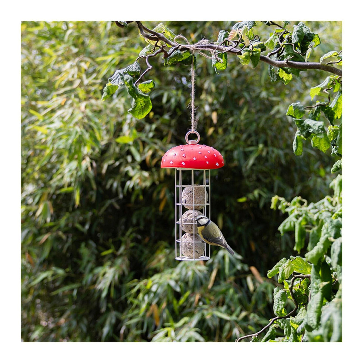 Esschert design vetbolhouder vliegenzw.