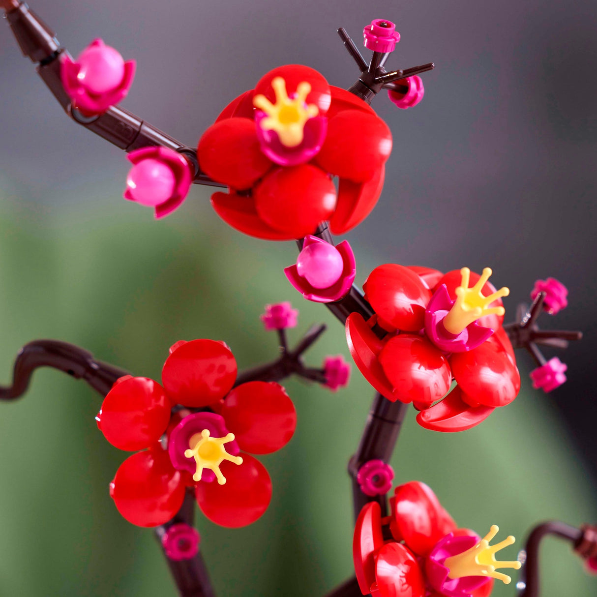 Lego botanicals 10369 japanse abrikoos