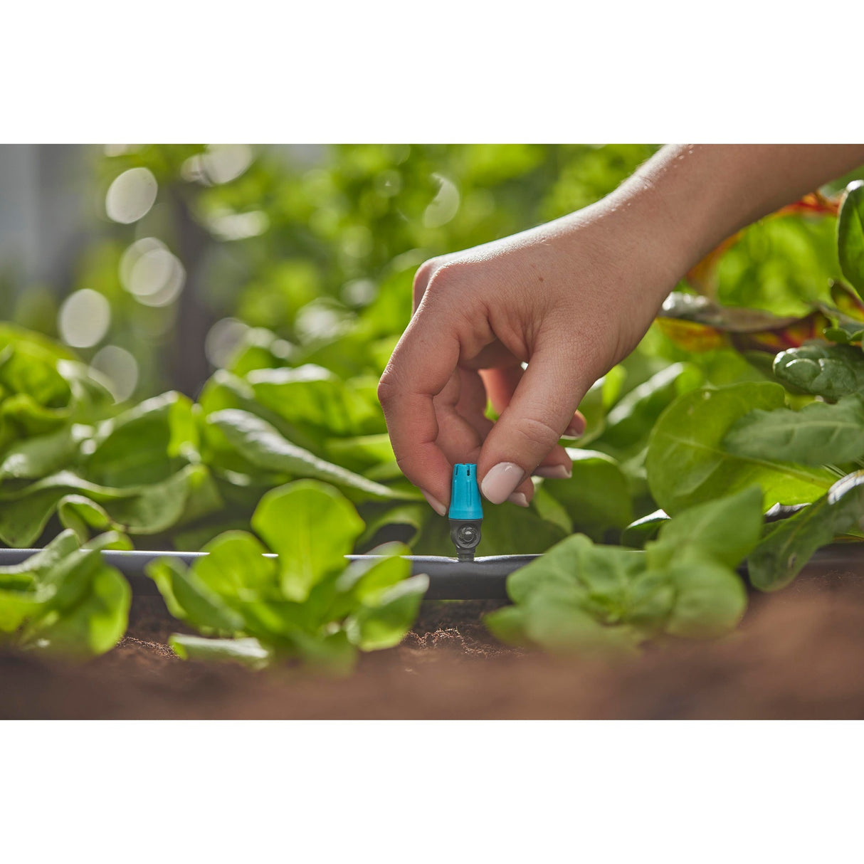 Gardena sproeier voor kleine oppervlakken (zwart turquoise, 10 stuks)