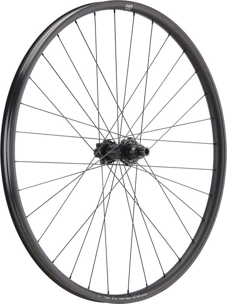 Newmen forge 30 dh 29 6-bolt 12x157 fade rear wheel