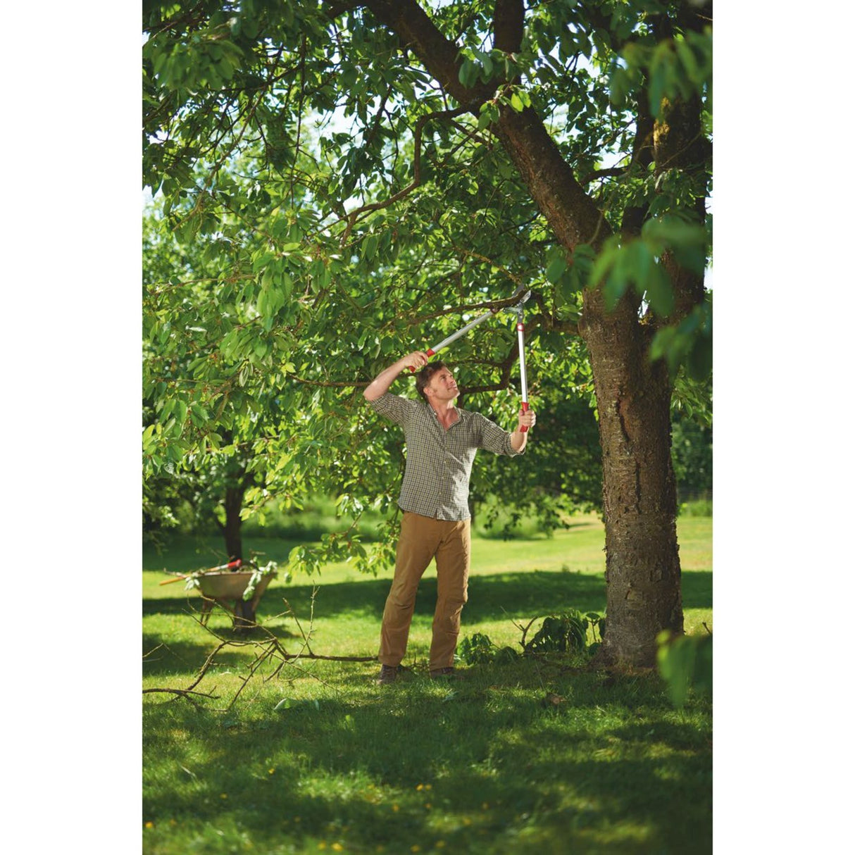 Wolf-garten power cut rs 800 v takkenschaar (rood zilver)