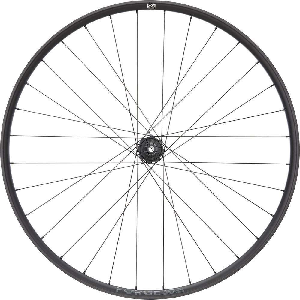 Newmen forge 30 dh 29 6-bolt 12x157 fade rear wheel