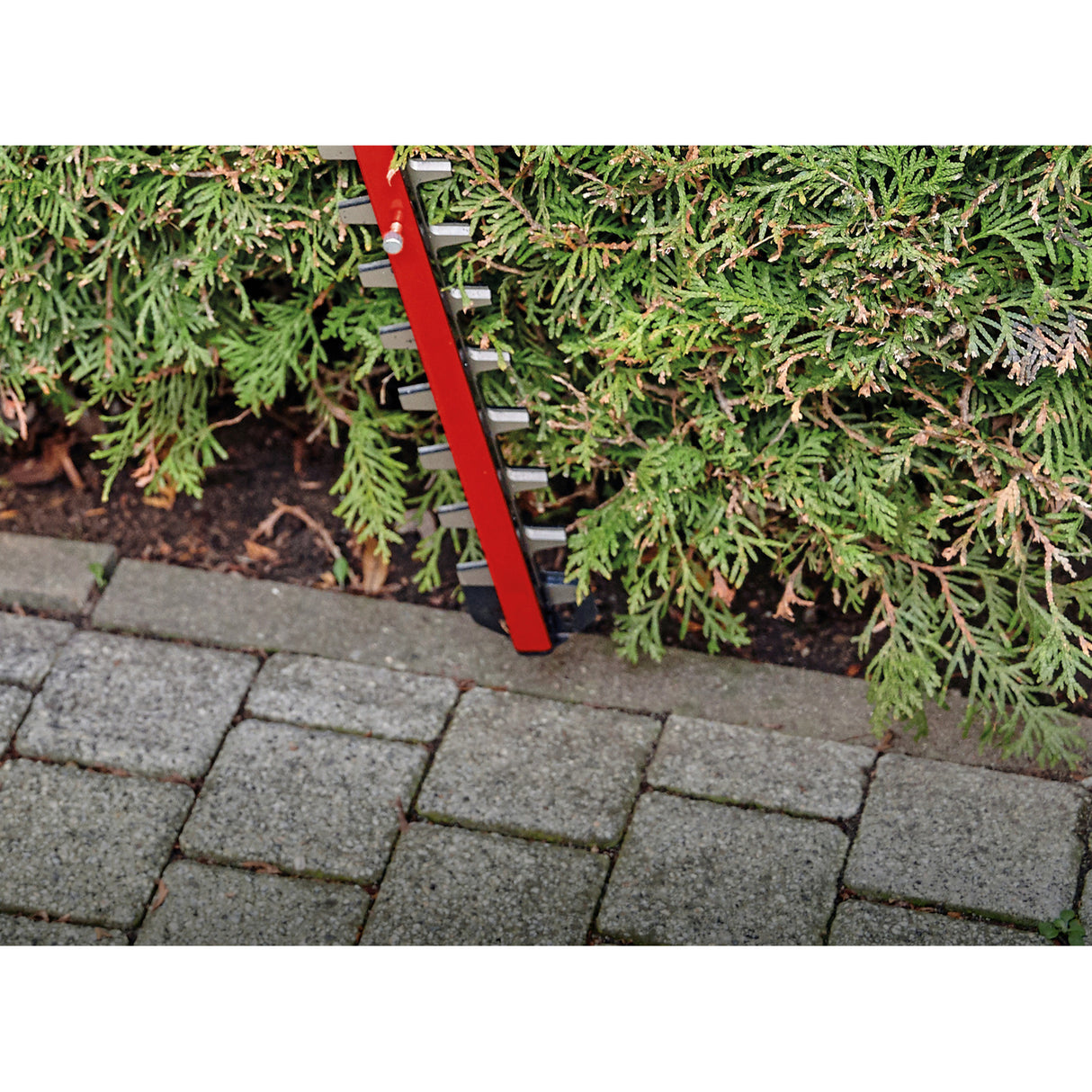 Einhell professional accu heggenschaar gp-ch 18 50 li bl-solo (rood zwart, accu en oplader niet inbegrepen)