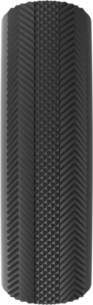 Vittoria rally tubular tires