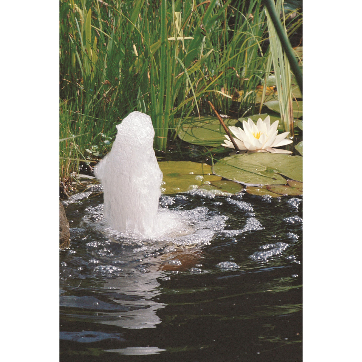 Ubbink elimax 2000 fontene pumpe